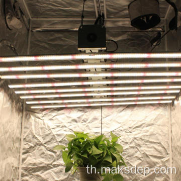 600W Mini Grow Light Stand